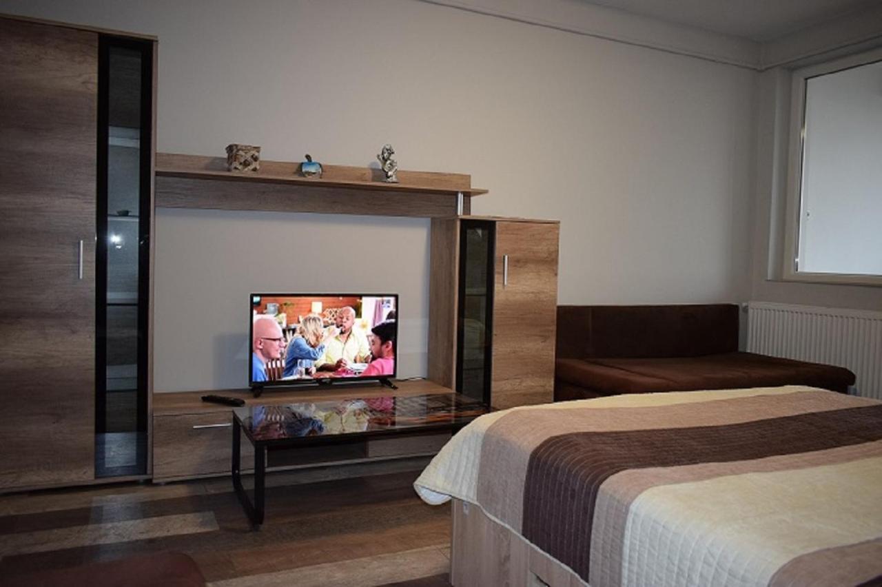 Apartament Hospital View Independentei Rhbm Baia Mare Luaran gambar